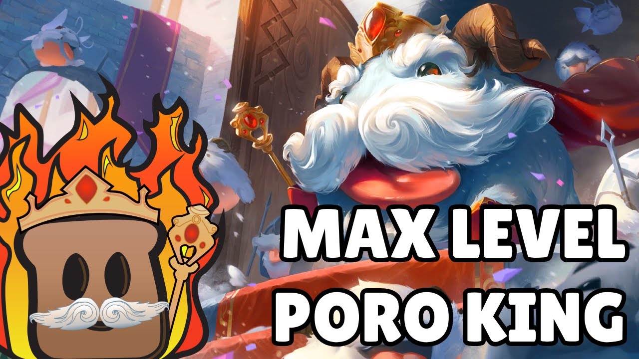 Max Poro King vs Asol | Path of Champions