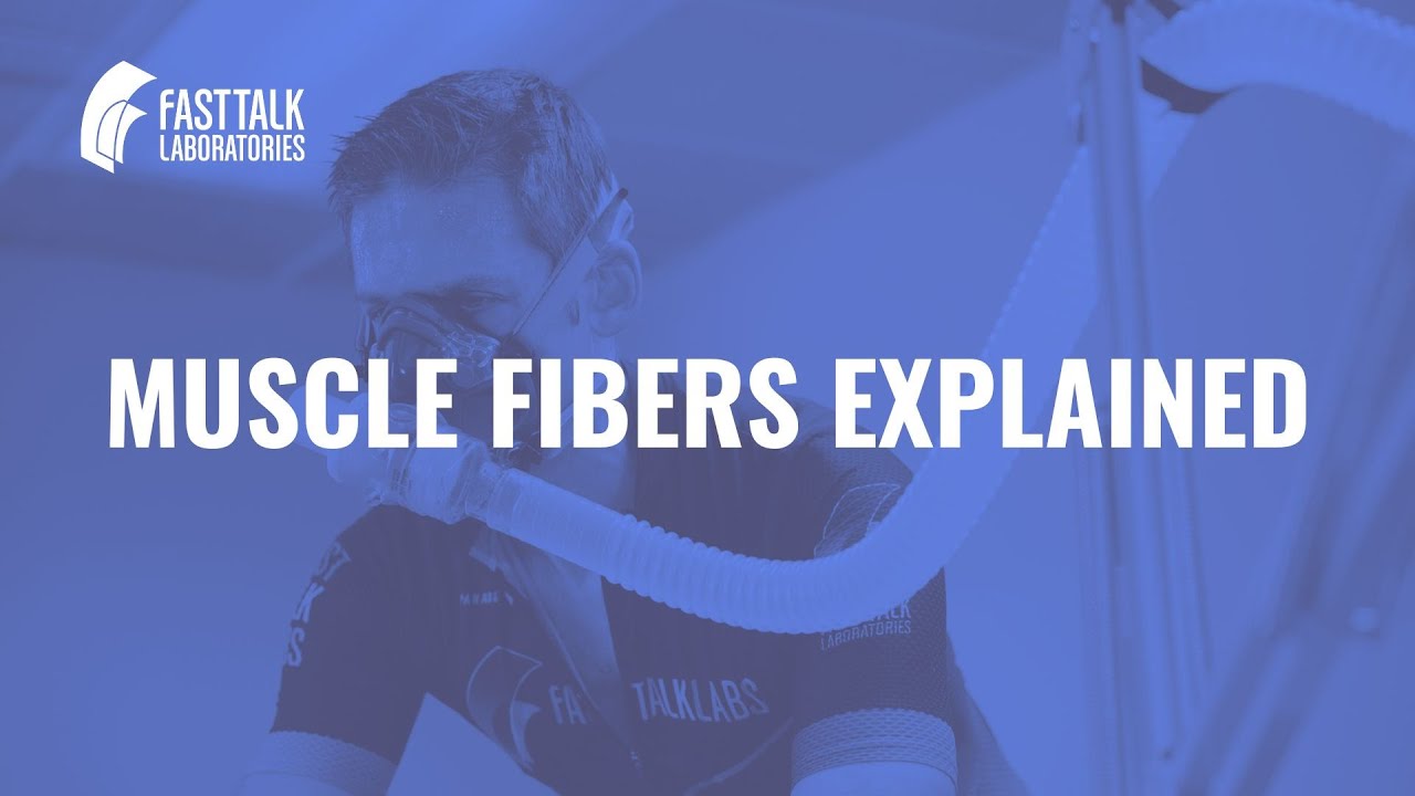 Muscle Fibers Explained: Slow Twitch, Fast Twitch & Recruitment for Endurance Athletes