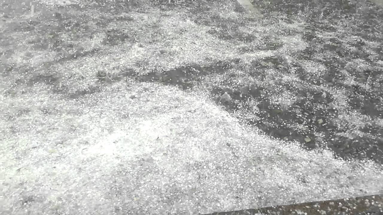海啸 Tsunami a Bonola Milano