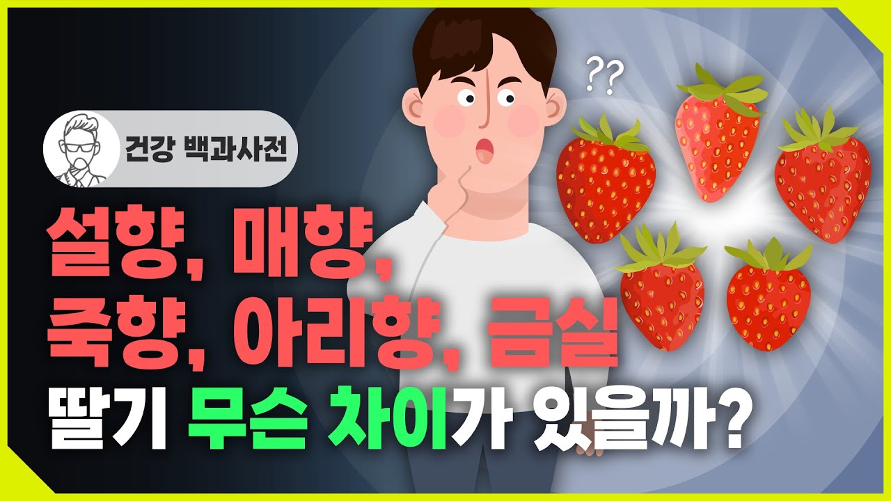 매향, 설향, 죽향, 아리향, 금실 다채로운 딸기의 종류와 특징 @세모지