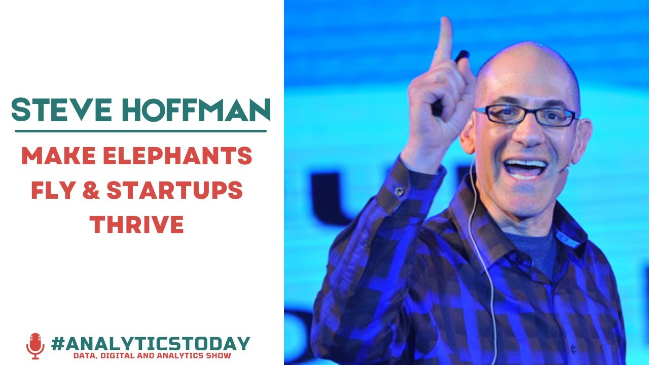 Make Elephants Fly & Startups Thrive with Steve Hoffman