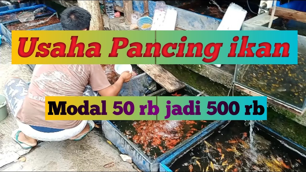 Ide usaha mainan anak serok ikan