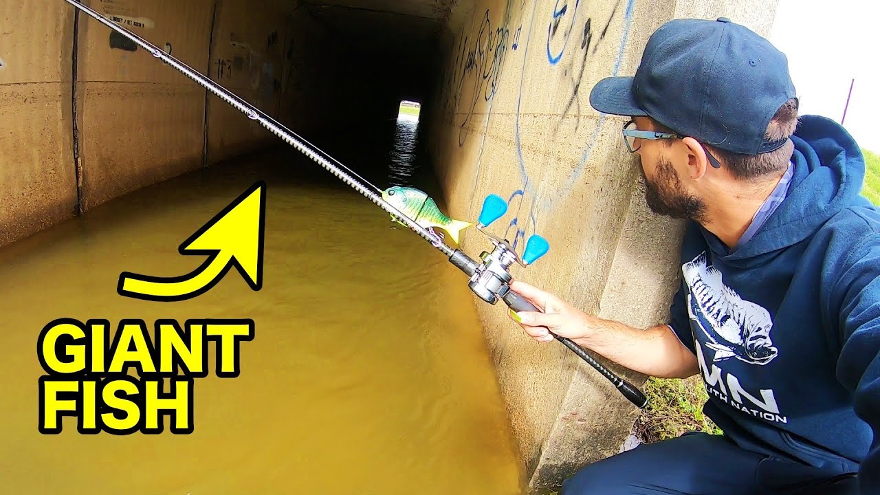 FLOODED CITY TUNNELS hold MONSTER FISH!!