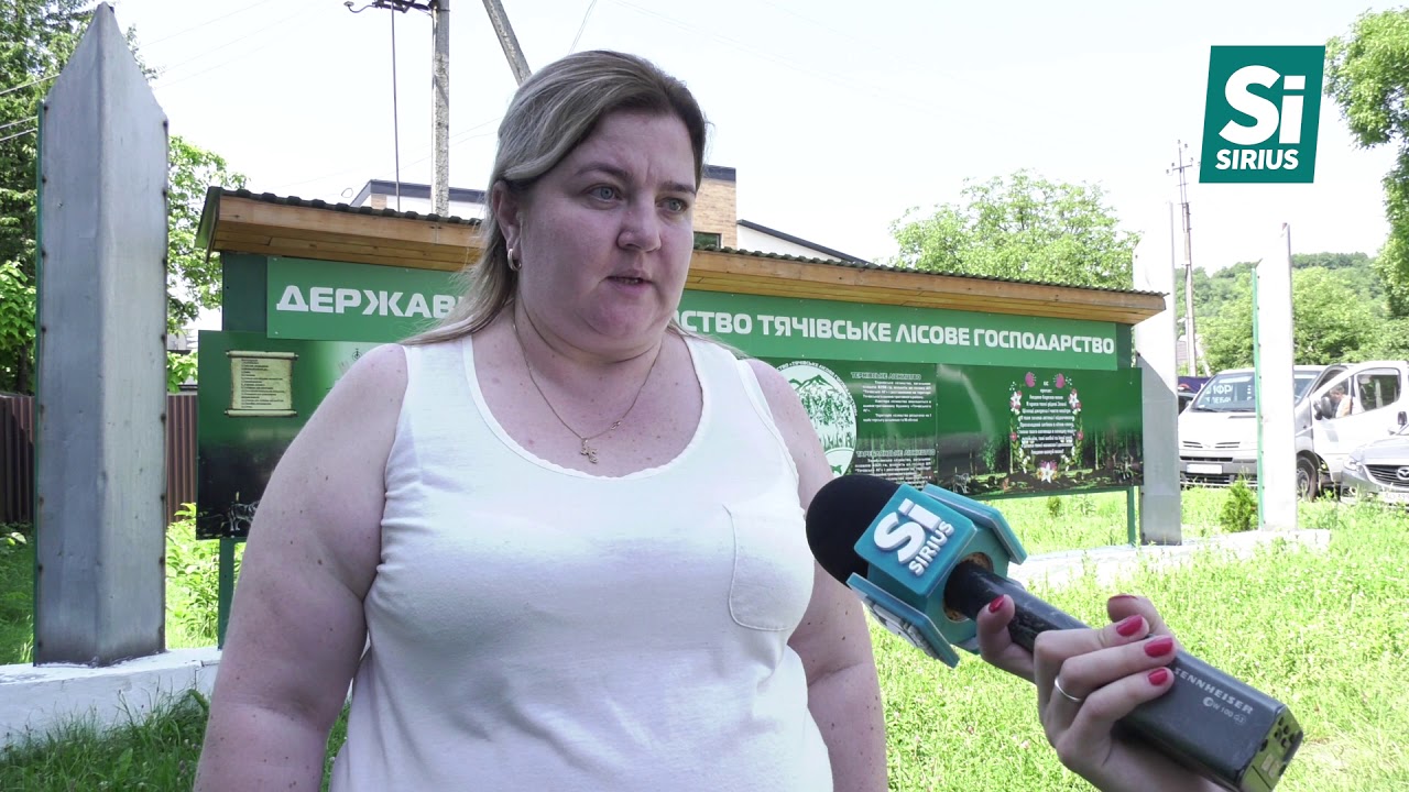 П’ятеро людей загинули в аварії біля села Тарасівка на Тячівщині