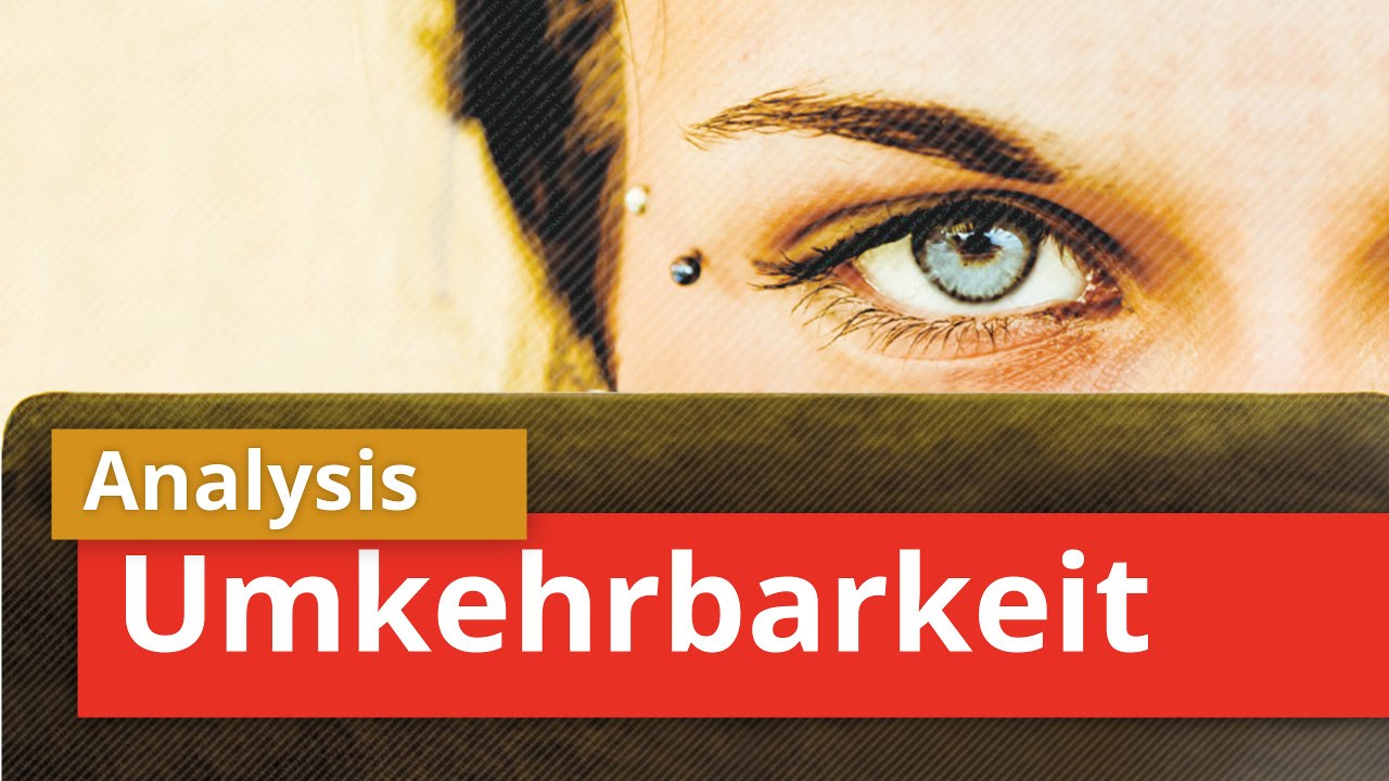 Funktion auf Umkehrbarkeit prüfen | Umkehrbarkeit