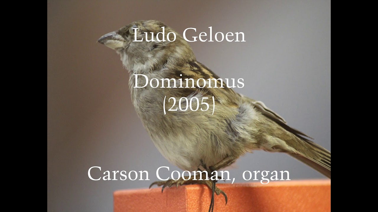 Ludo Geloen &mdash; Dominomus (2005) for organ