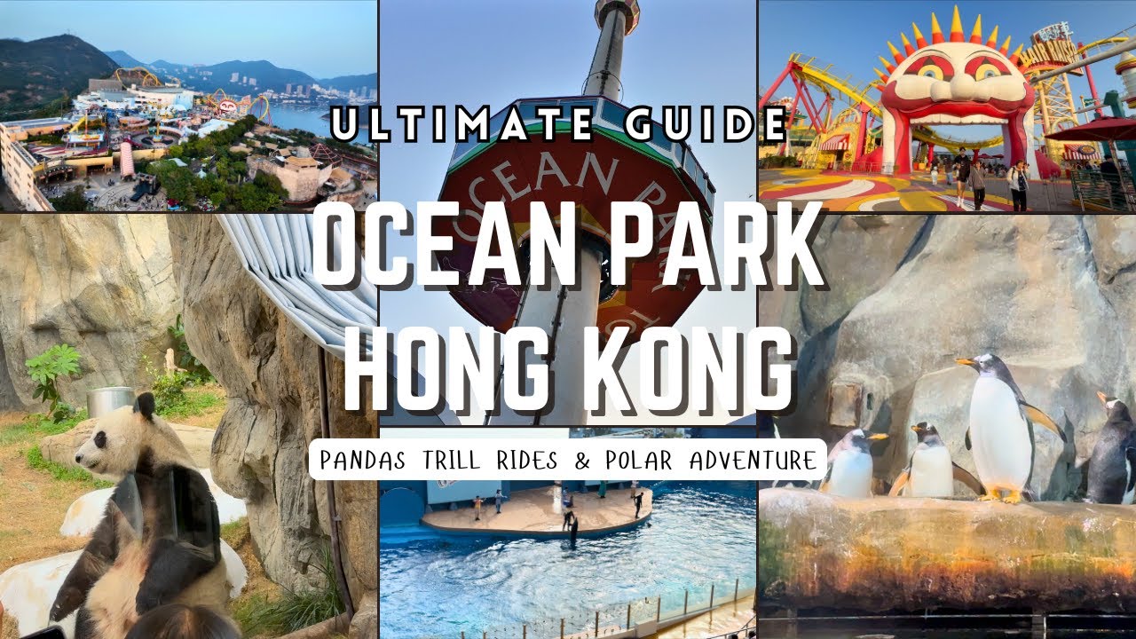 OCEAN PARK HONG KONG: Ultimate Guide - Pandas, Thrill Rides & Polar Adventure
