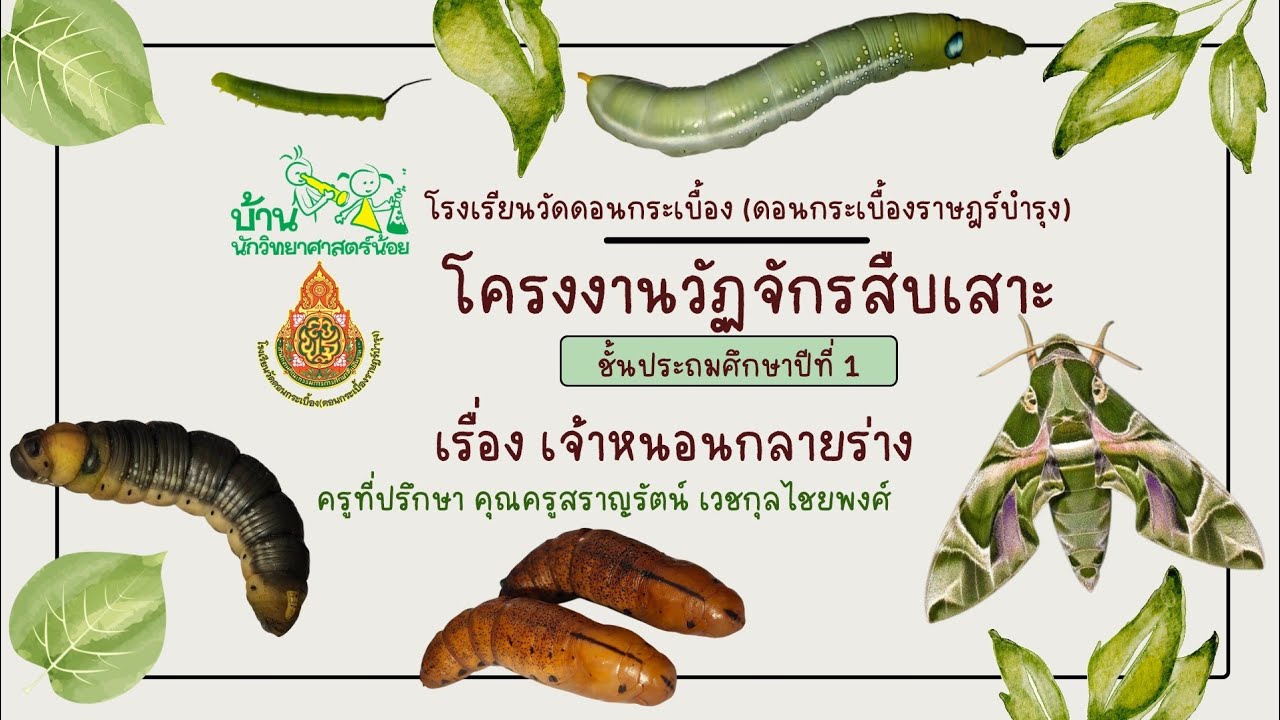 โครงงานวัฏจักรสืบเสาะบ้านนักวิทยาศาสตร์น้อย 