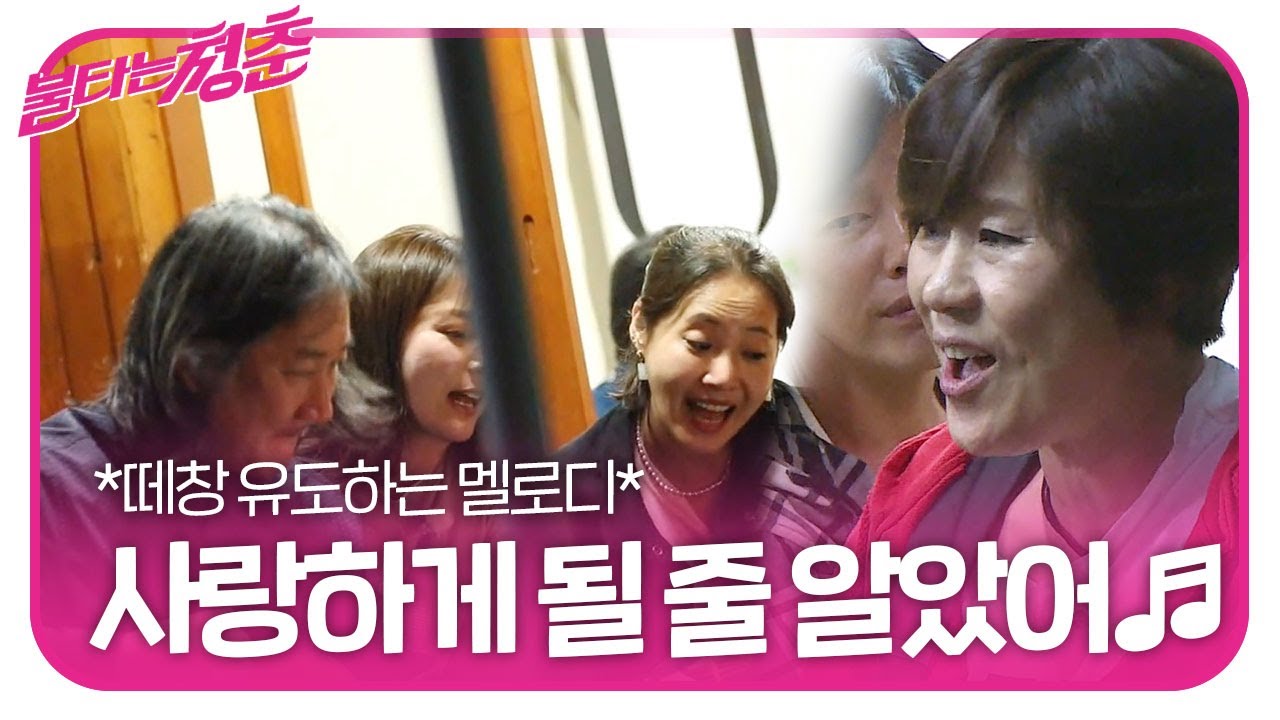 [풀버전] 신효범, 담백하게 부르는 울림 있는 노래 ♬사랑하게 될 줄 알았어♬ㅣ불타는 청춘(Young Fire)ㅣSBS ENTER.