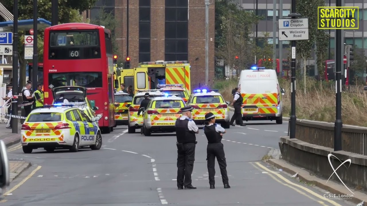 Brixton murder / Edmonton murder/ Sutton arson/murder