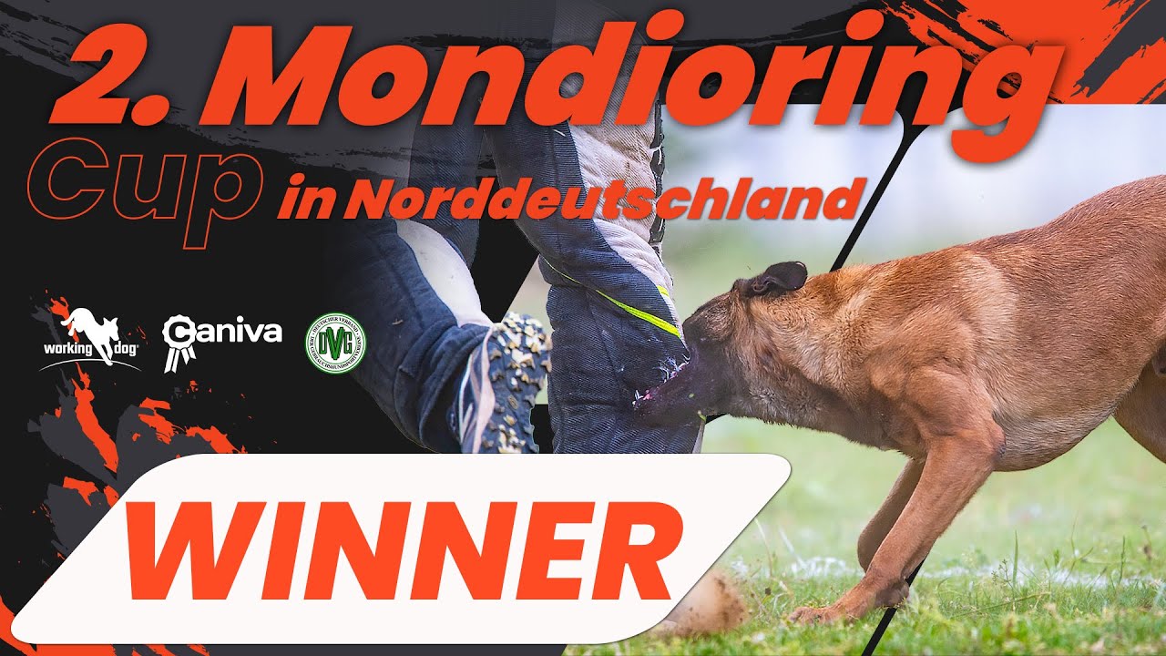 2. Mondioring-Cup in Norddeutschland // Winner // Sniper van de Gymihoef