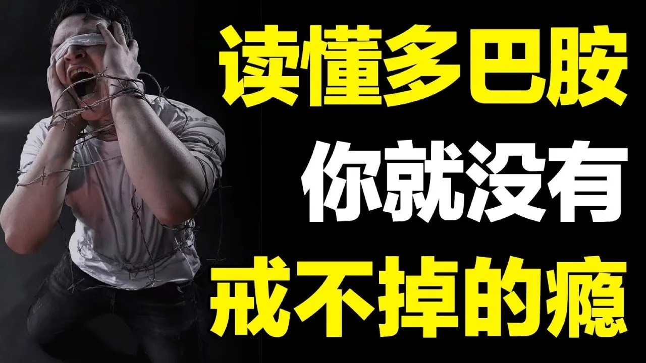 多巴胺 + 内稳态：破解成瘾困局，从痛苦到自律的底层逻辑