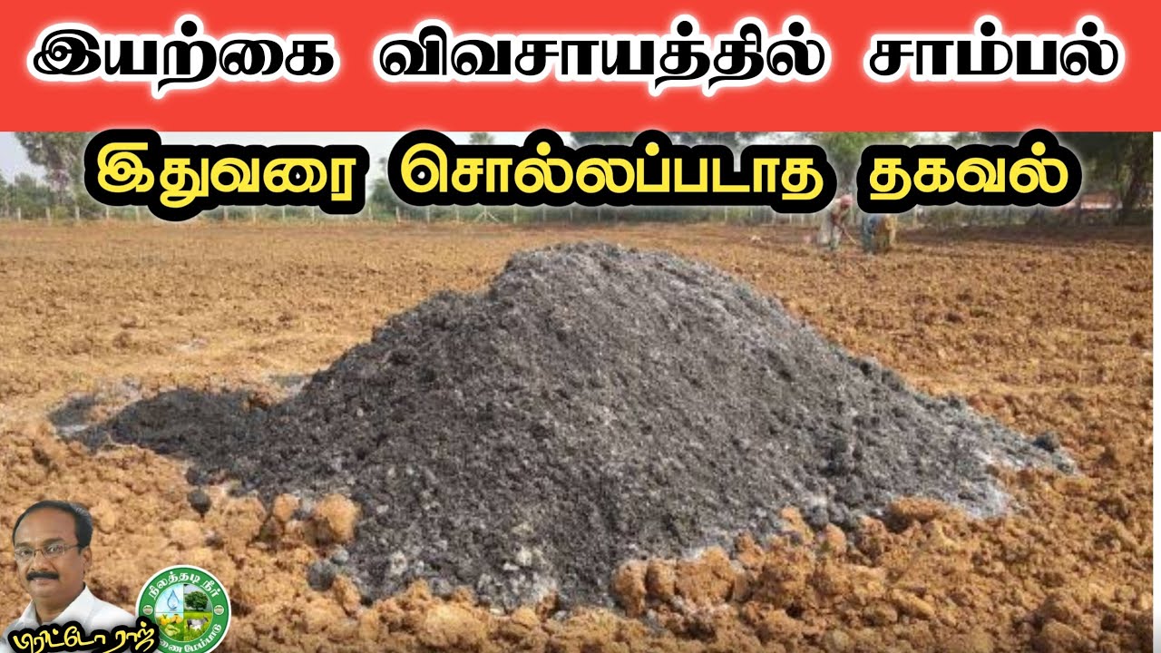 இயற்கை விவசாயத்தில் சாம்பல் . சொல்லப்படாத தகவல் ||Brittoraj||9944450552