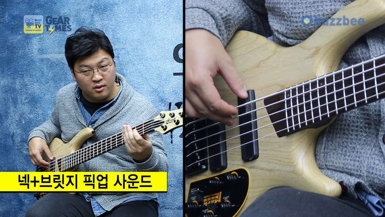 콜트 Cort 5현베이스 B5 Plus AS