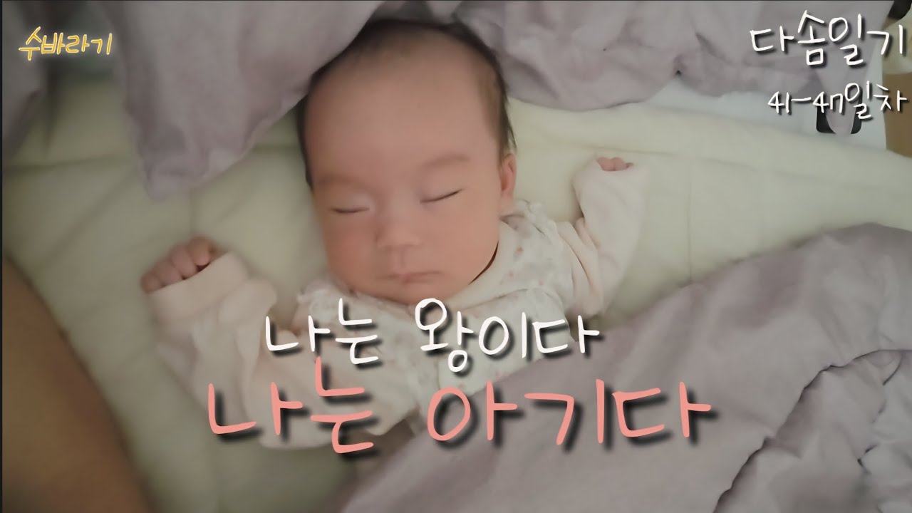 #생후47일차 #나는아기다 #육아브이로그 #육아일기 #육아일상 #육아 #육아소통 #육아기록 #수바라기 