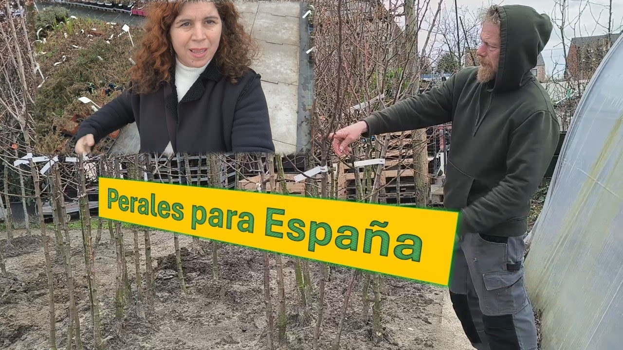 Vamos a por perales para el huerto de España. Es el cumple de Koen
