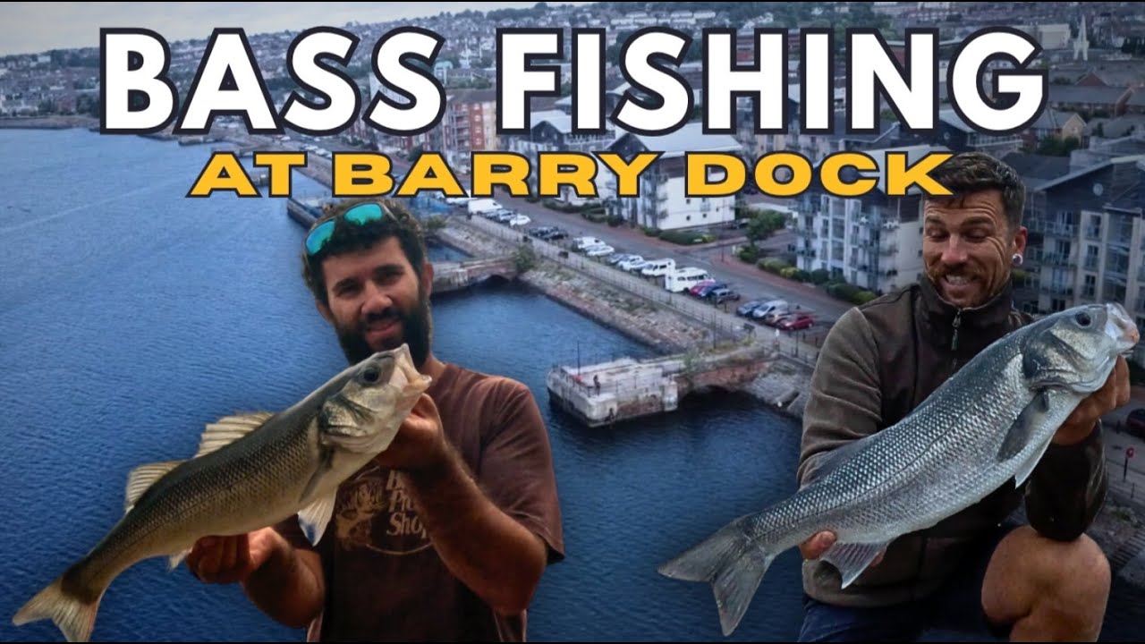 Bass fishing at Barry Dock, South Wales