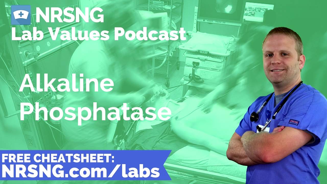 Alkaline Phosphatase Nursing Considerations, Normal Range, Nursing Care, Lab Values Nursing