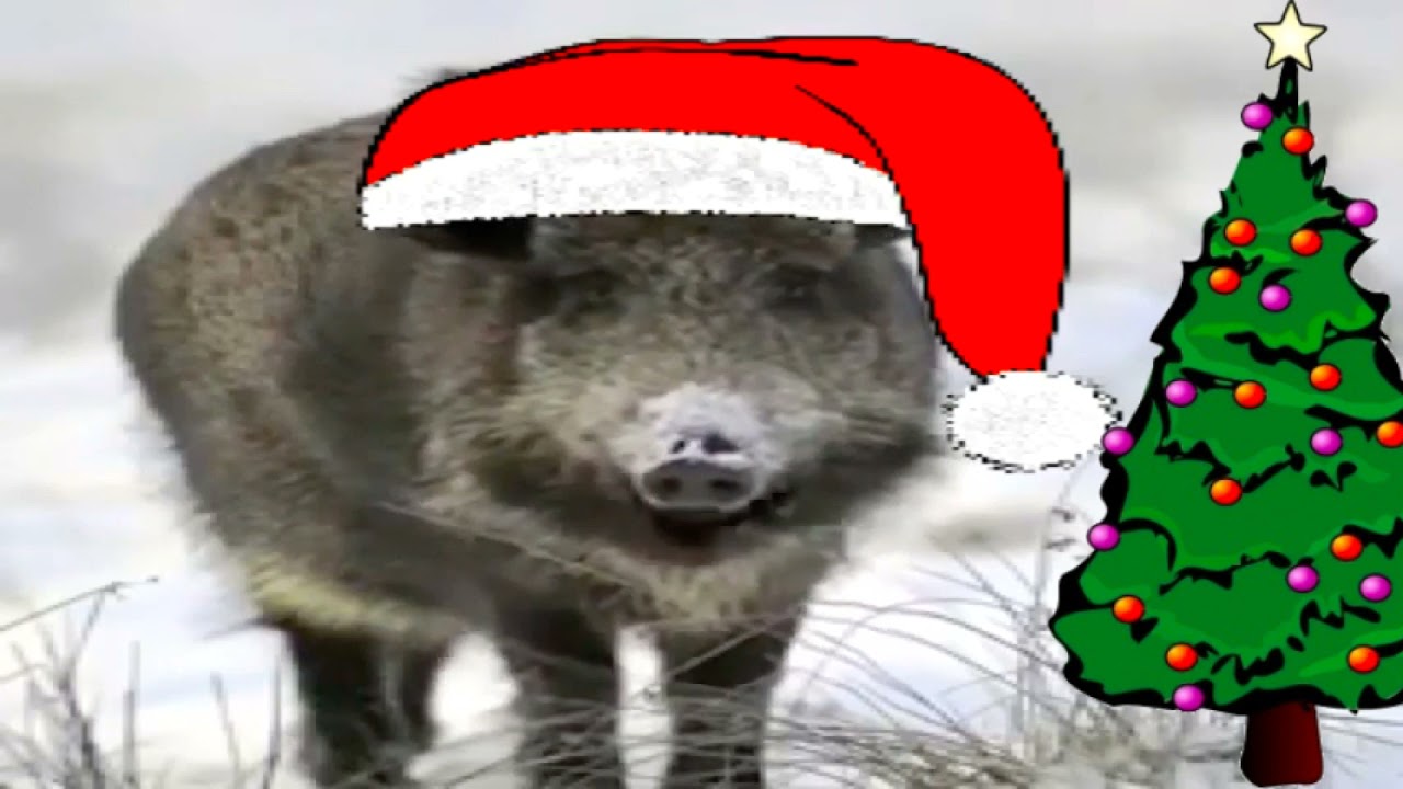 V&aacute;nočn&iacute; př&aacute;n&iacute; od kance