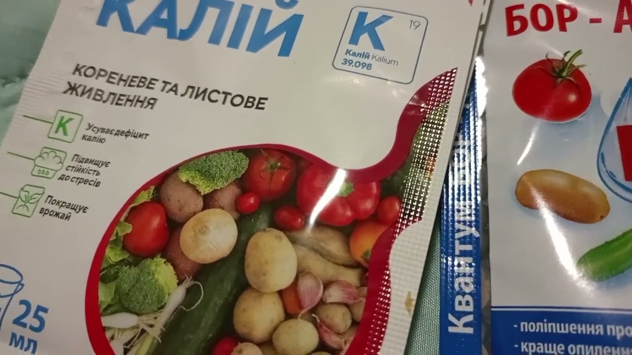 Насіння улюблених квітів 
