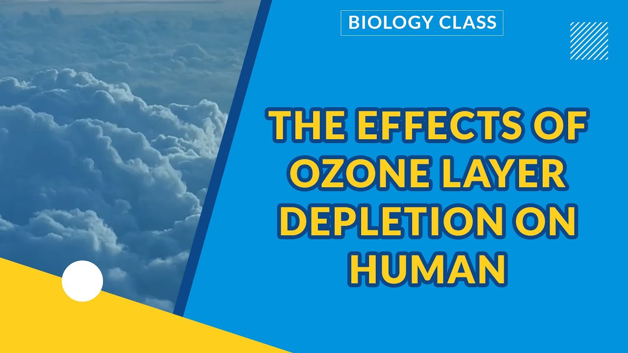 POLLUTION | THE EFFECTS OF OZONE LAYER DEPLETION ON HUMAN | BIOLOGY CLASS