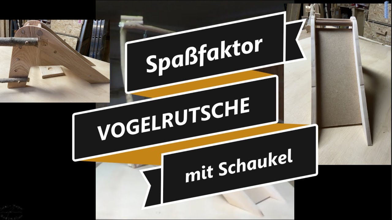 Vogelrutsche mit Schaukel für kleinere Vögel mit Erlebnisfaktor