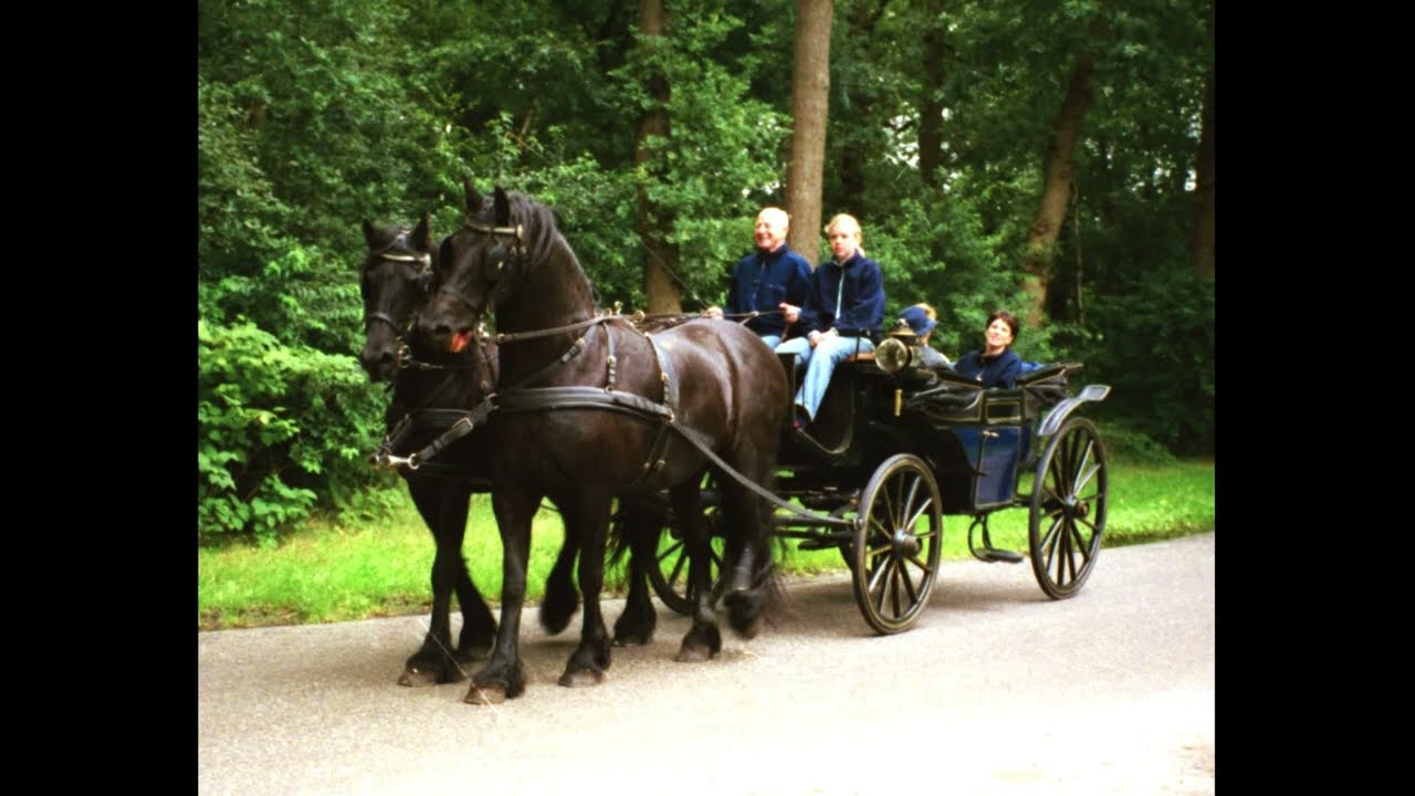 8918b Nijeveen oude voertuigen/wagens en meer.