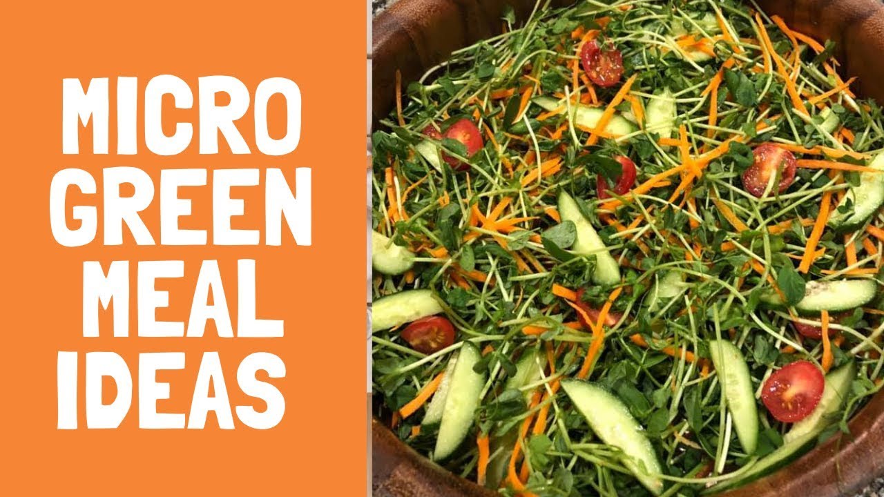 Microgreen Meal Ideas