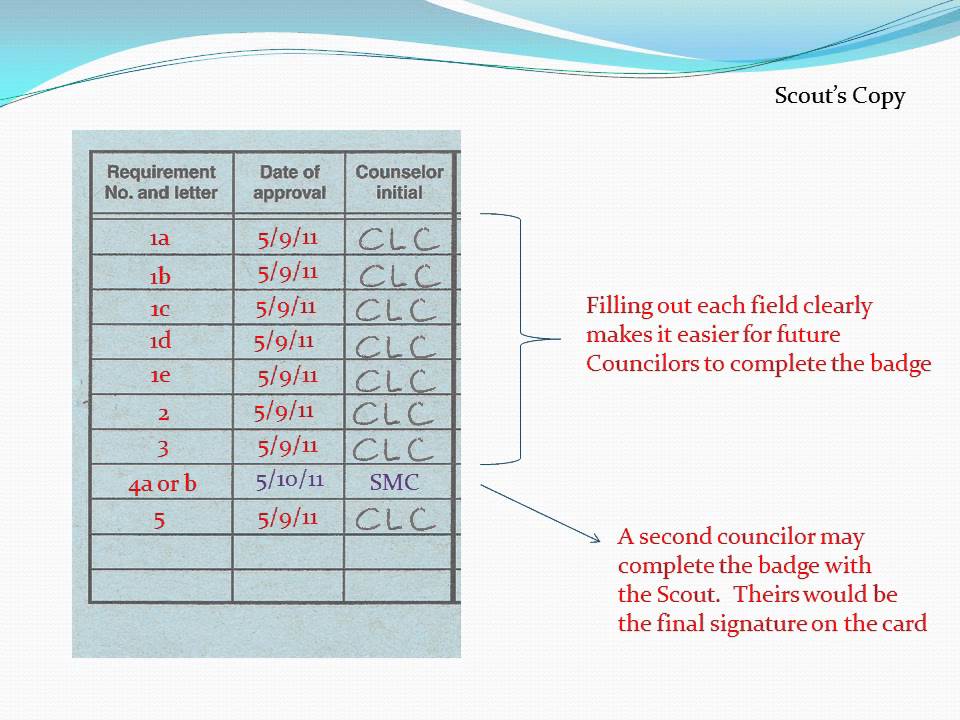 Boy Scout Blue Cards