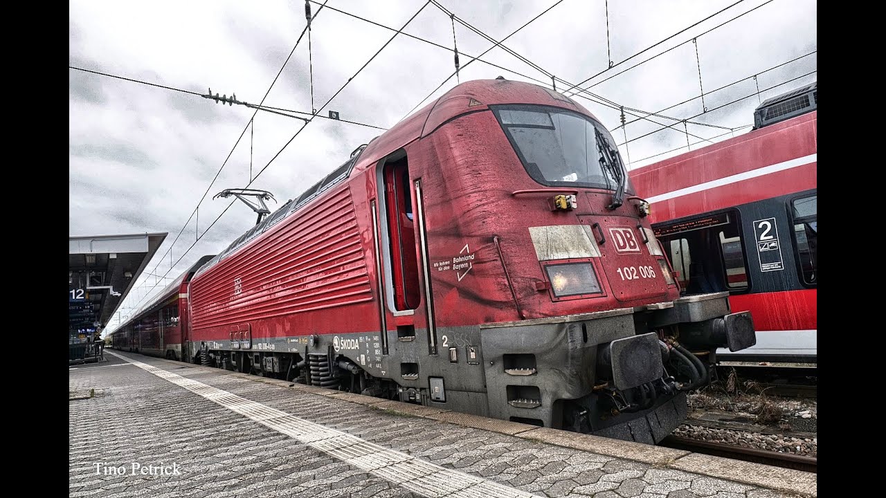 Zugverkehr in Nürnberg HBf am 19.11.2024 - zwischen Hamstern, Möpsen und Weißwürsten