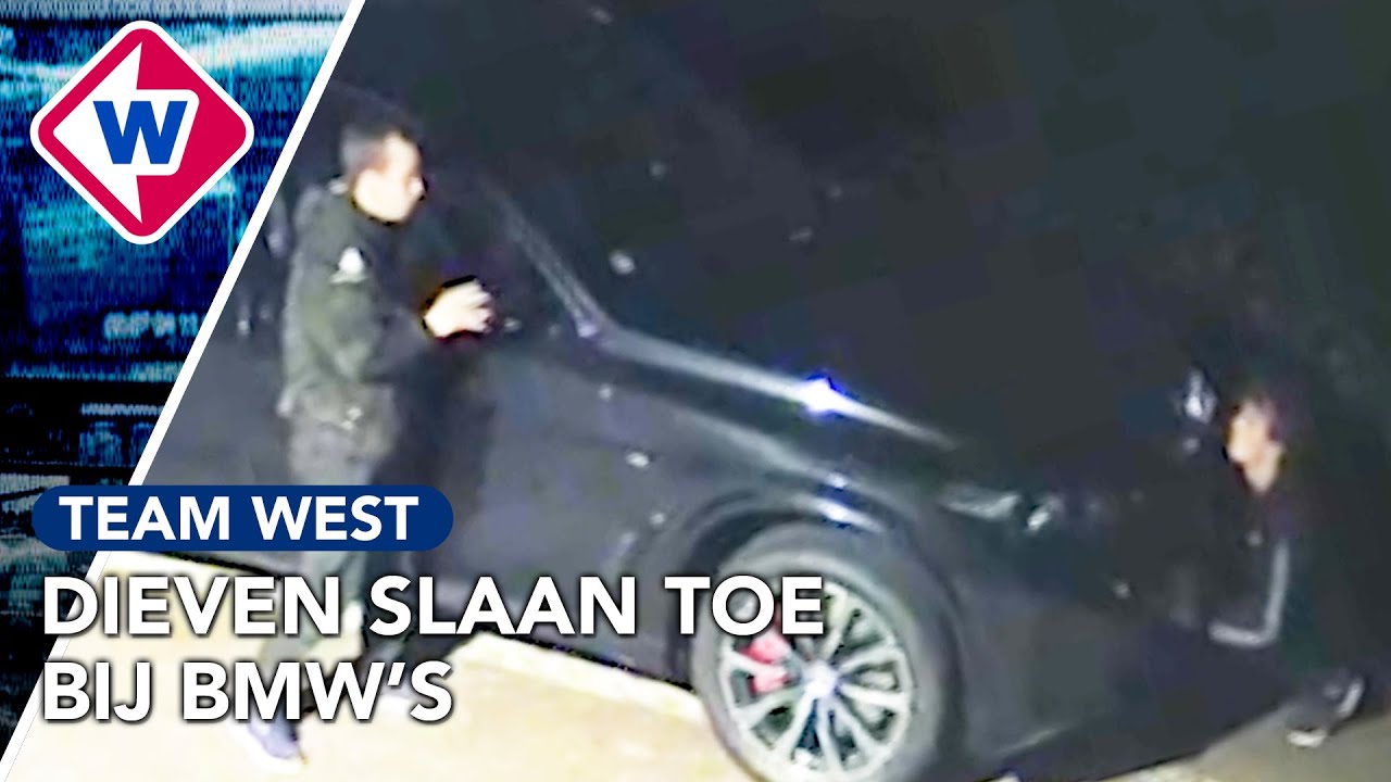 Spiegels en sensors van 13 auto's gestolen | Team West