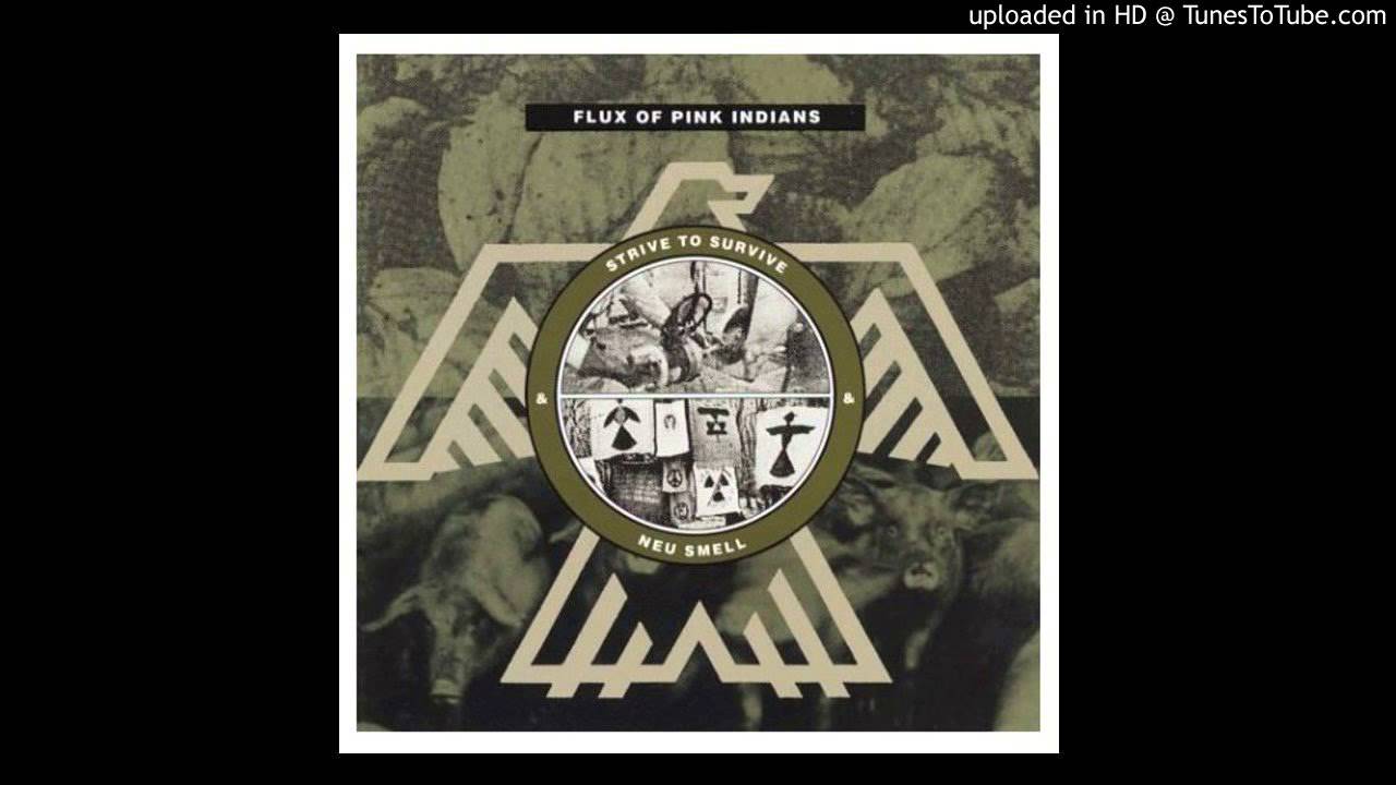 Flux of Pink Indians - Strive to Survive Causing Least Suffering Possible Full Album