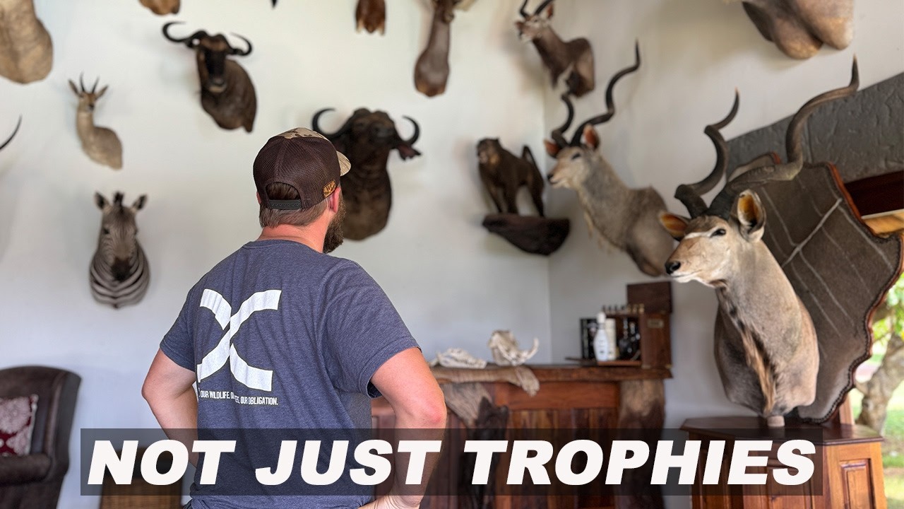 From the Ashes | Inside My Trophy Room