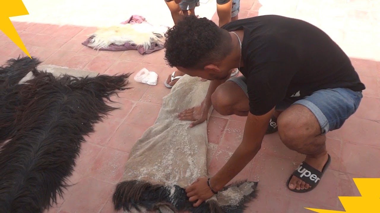 كيفاش كيجيبو الجلود او كيفاش كينقيوهوم🔥🔥?????? Boujlod bilmawn 2019