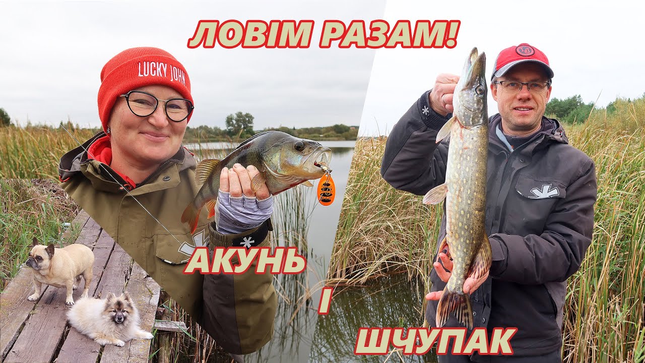 Шчупак і акунь на вярчальную блешню. Рыбалка з жонкай