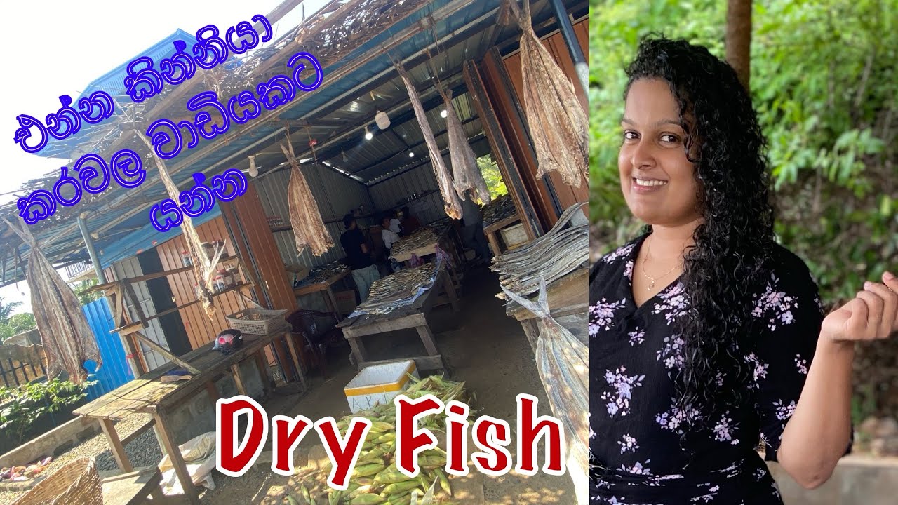 එන්න කින්නියා කරවල වාඩියකට යන්න #dryfish #travelvlog #travel #food #seafood #family #visitsrilanka