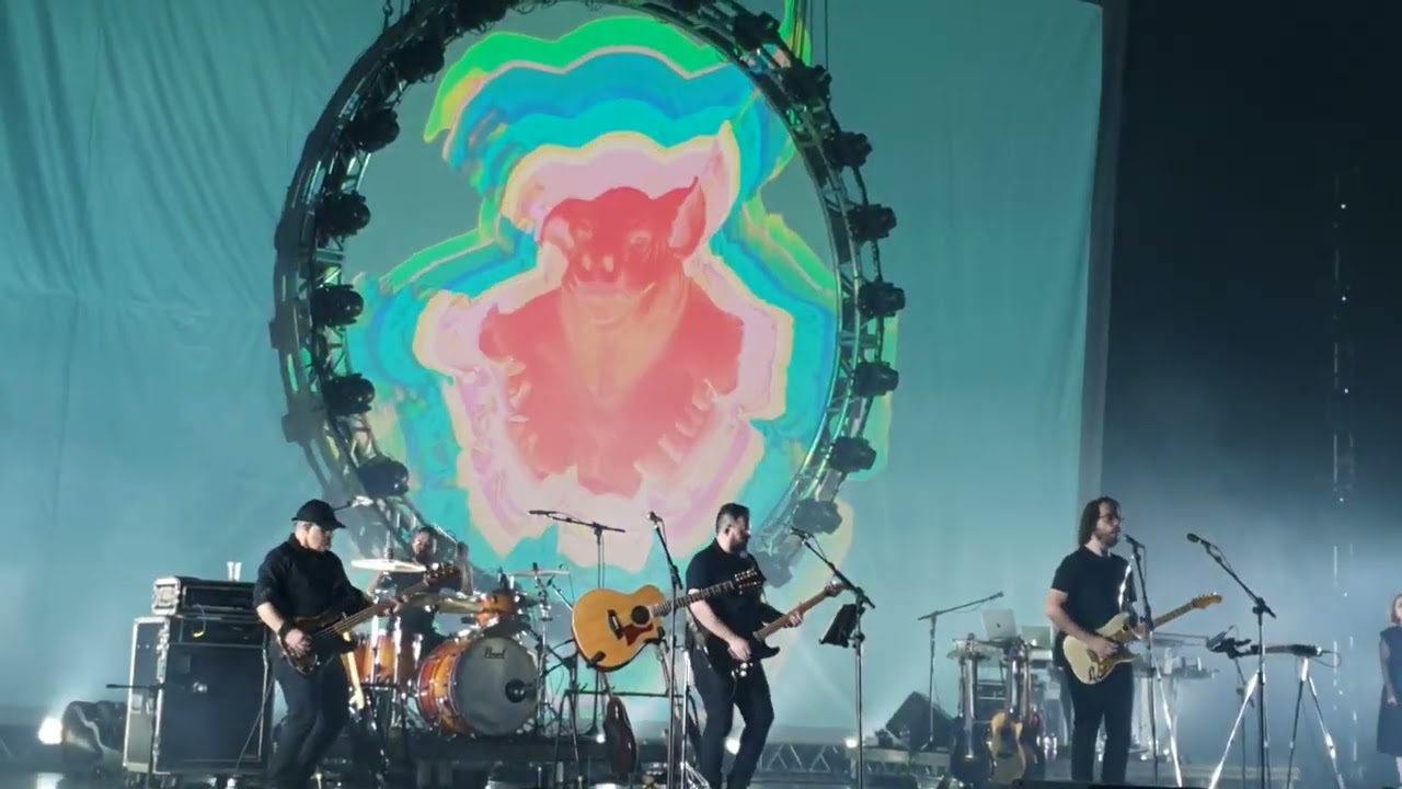 Atom (Pink Floyd Tribute) - Pigs Live in Brasília (15/10/2022)