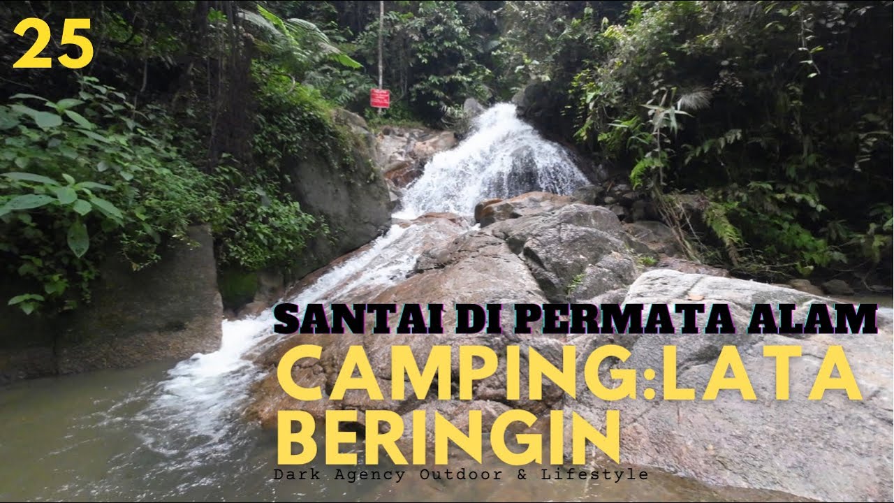 CAMPING: LATA BERINGIN tempat perkhemahan antara terbaik di Selangor!