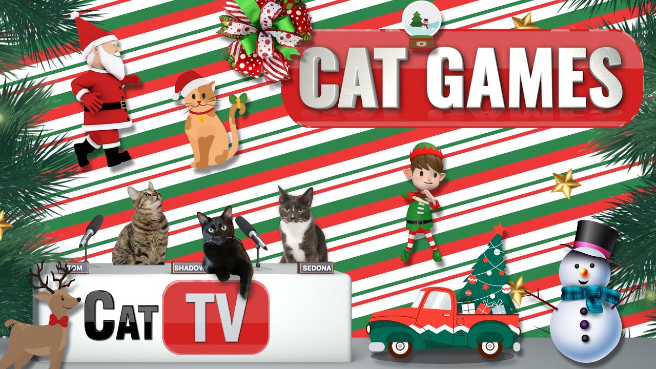 КОТ-игры | Страна чудес Jingle Paws: праздничное кошачье развлечение для рождественских кошек! 🎄🐾🎅