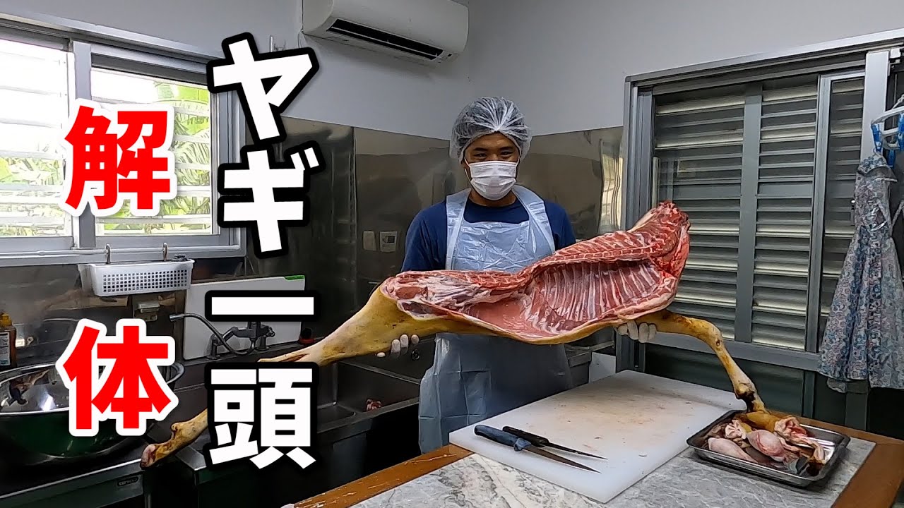 【石垣島】ヤギの解体に密着