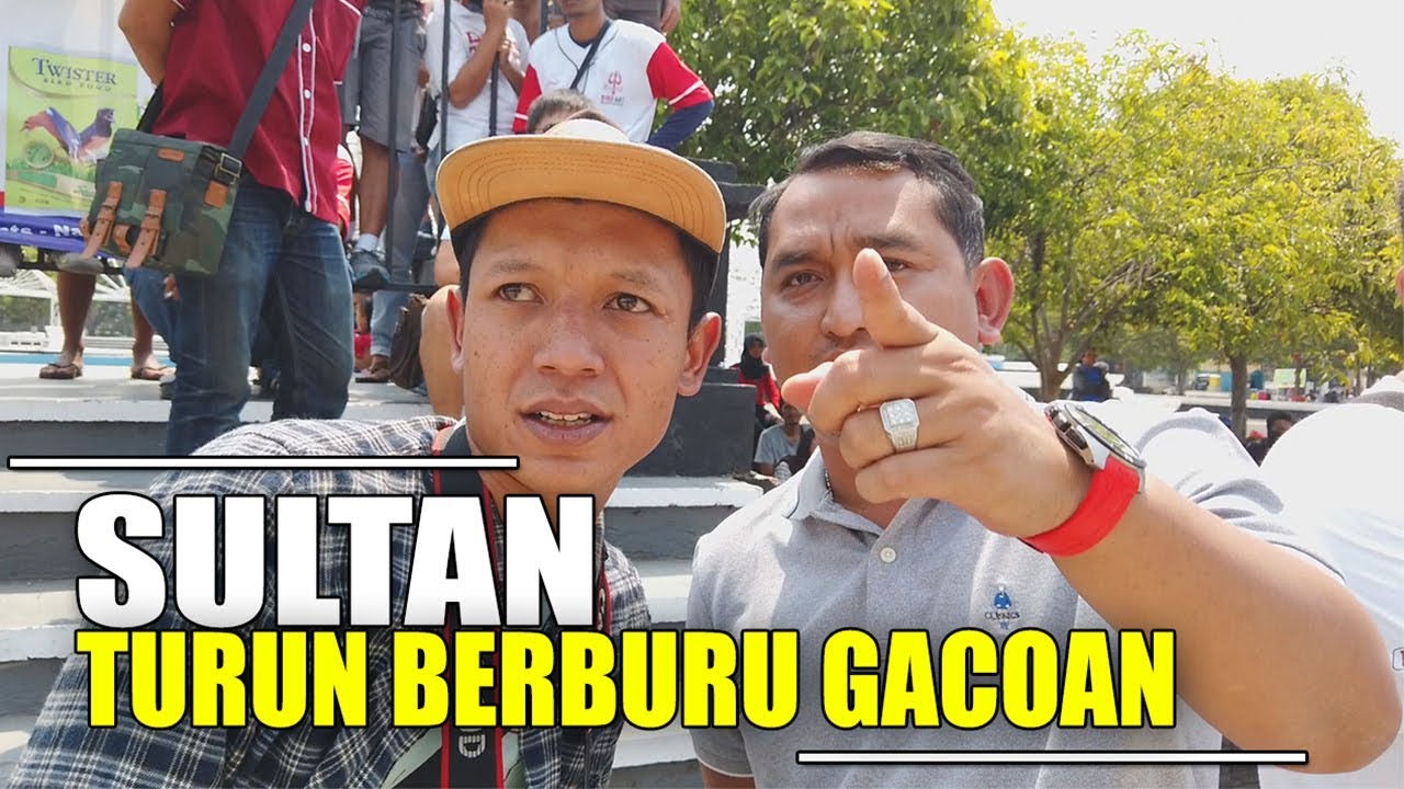 SULTAN BERBURU JAGOAN, PAMERKAN JAGOANMU  !! |  GUBERNUR CUP 2019