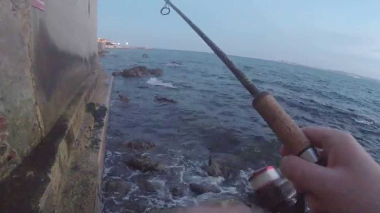 black minnow 120 du bord