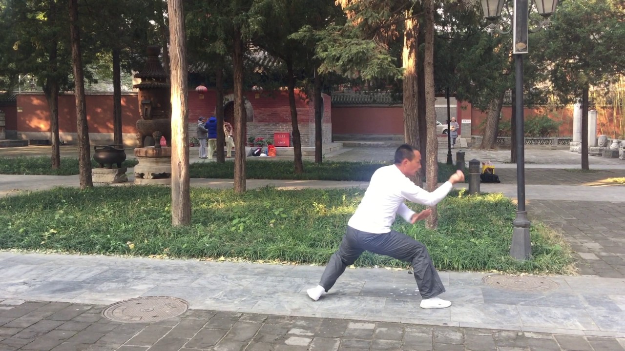寸手翻子拳 （北京洪氏戳脚）