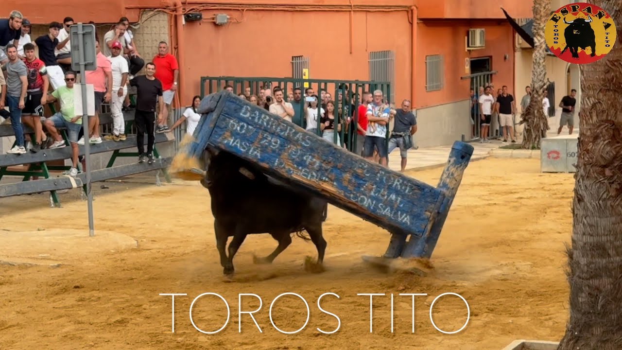 Desafio ganadarias Picassent oct. 2025