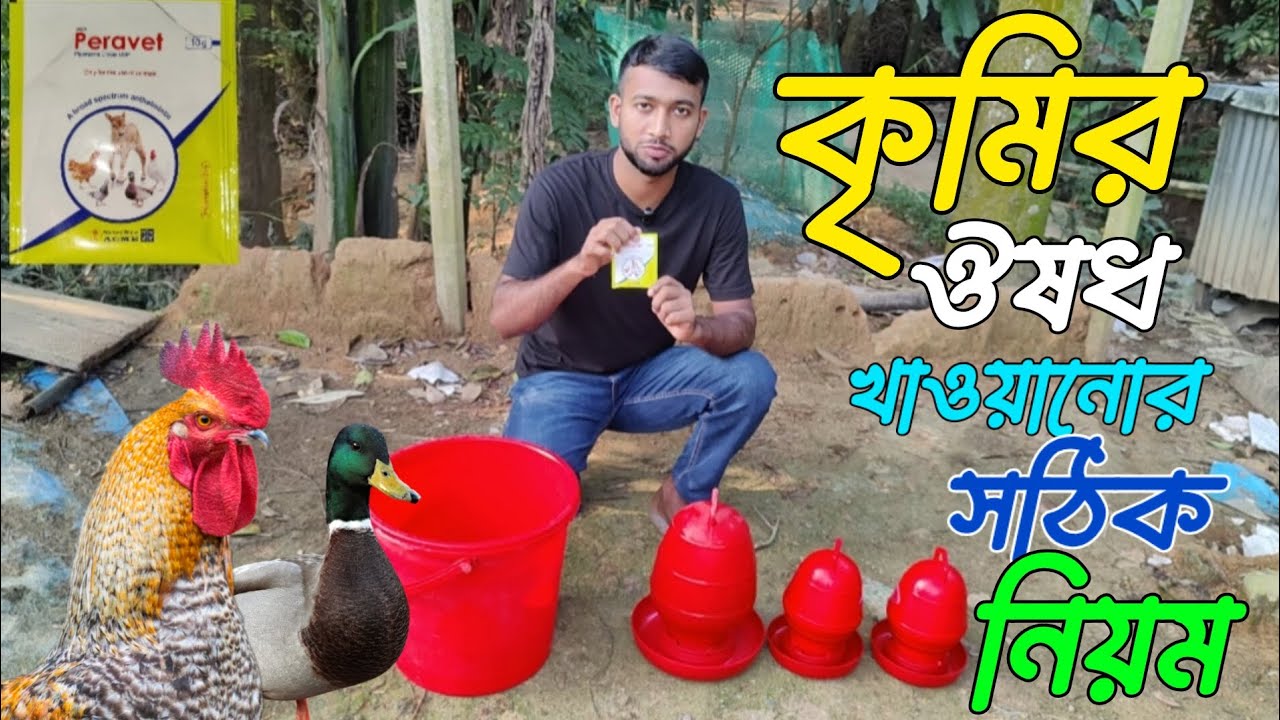 হাঁস মুরগিকে কৃমির ঔষধ খাওয়ানোর সঠিক নিয়ন | মুরগির কৃমি দূর করার উপায় | Peravet || Sonali Diganta ||