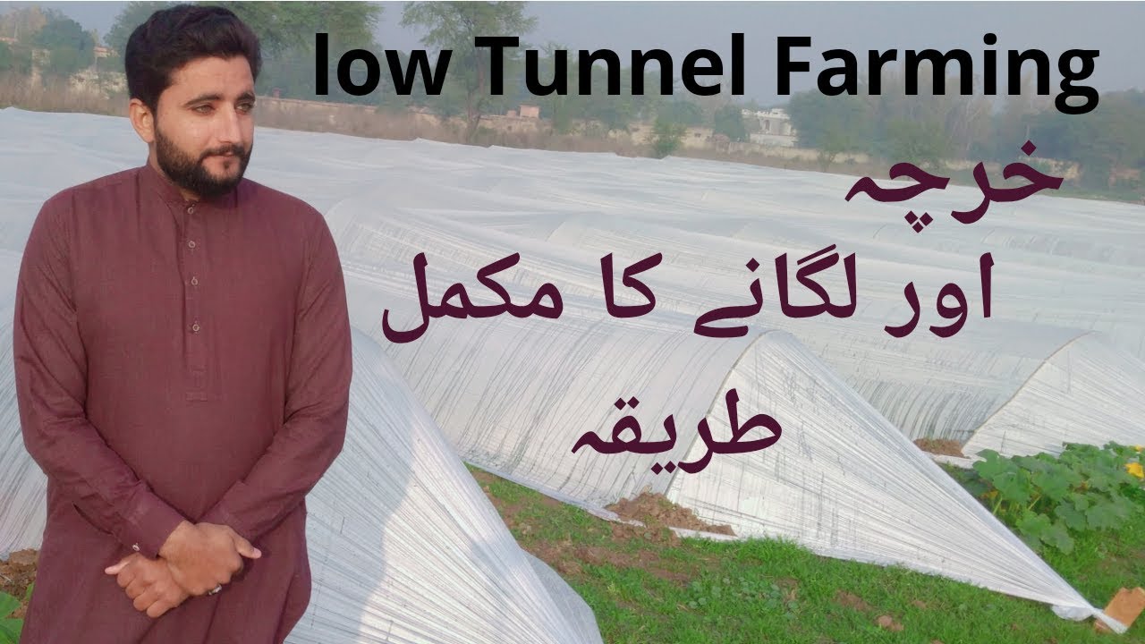 What is low tunnel? structure,Importance ,types of tunnel , Agriculture guru