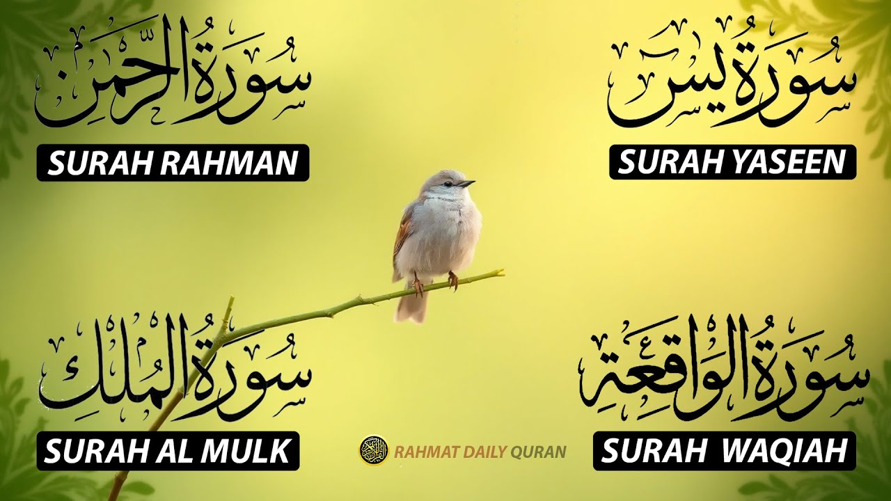 The Best Recitation Surah Yaseen (Yasin) | Surah Rahman | Surah Waqiah | Surah Mulk