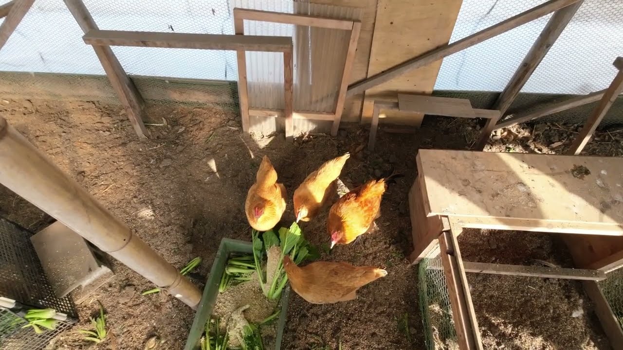 ある日の冬の
