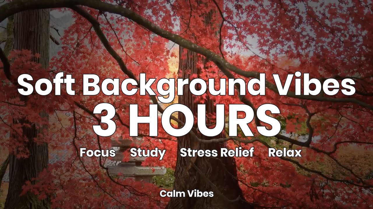 Ambient Chillout Music for Relaxation & Focus | 3 Hours of Soft Background Vibes | CalmVibes