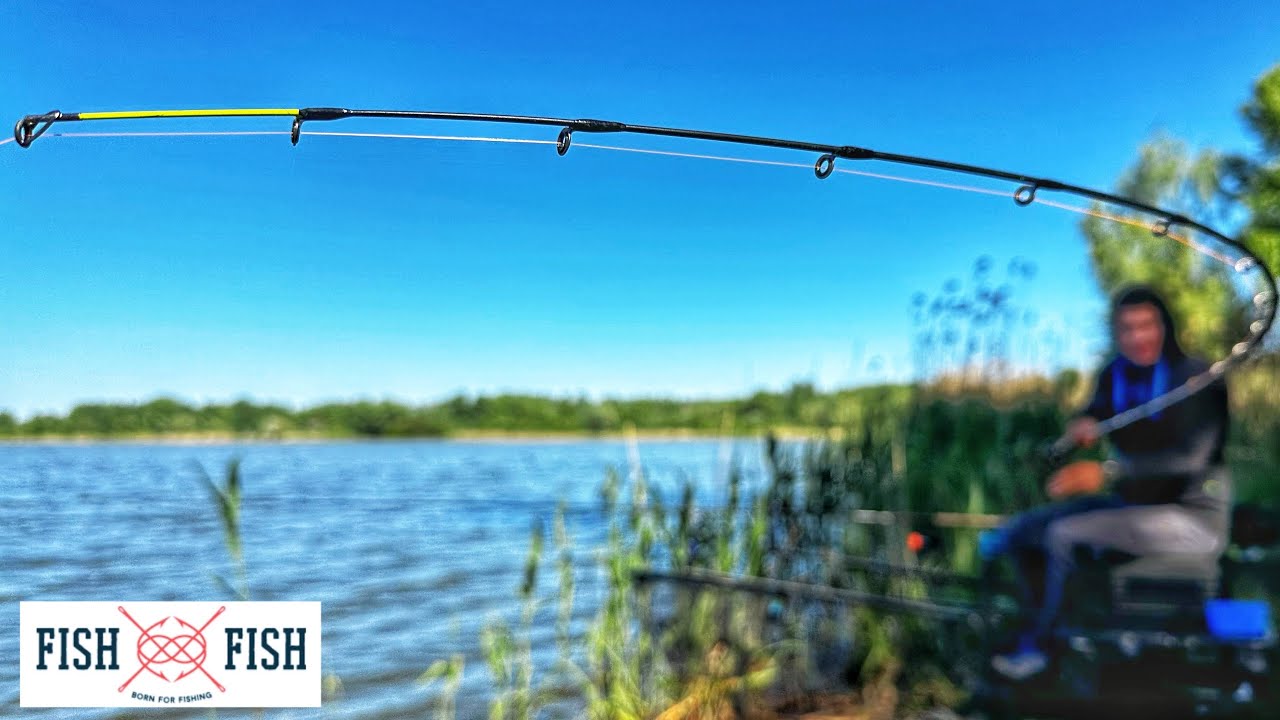 Sportex Xclusive RS-2 👉 відгук після довготривалого користування фідерними вудлищами